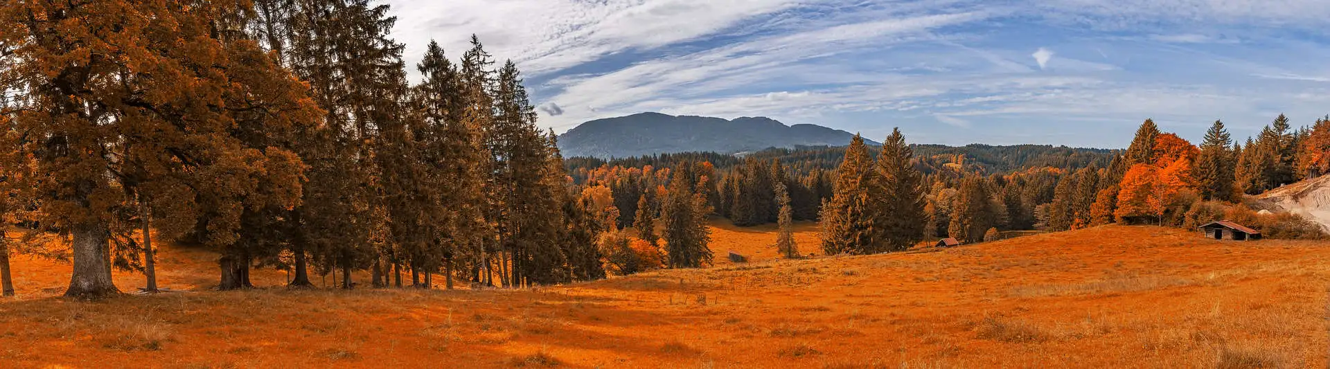 Психолог во владивостоке